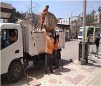 رفع 290 طن قمامة من شوارع مدينة المنصورة