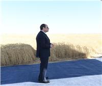 بالصور| الرئيس السيسي يمنح الإذن ببدء موسم حصاد القمح