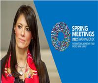 «المشاط» تشارك في اجتماعات الربيع لمجموعة البنك الدولي وصندوق النقد الدولي بواشنطن