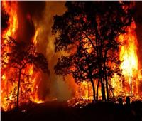 حرائق الغابات في أمريكا تجبر الآلاف على الفرار من منازلهم