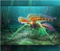 عمره نصف مليار عام .. اكتشاف حيوان بحري أقدم من الديناصورات