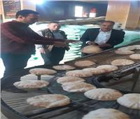 تحرير 10 محاضر إنتاج خبز ناقص الوزن ومصنع أسماك مدخنة يدار دون ترخيص بالبحيرة