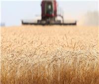 بريطانيا تحذر من تضخم دولي بسبب نقص إنتاج الحبوب في أوكرانيا