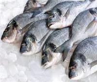 ارتفاع طفيف بأسعار الأسماك في سوق العبورالأربعاء 27 ابريل