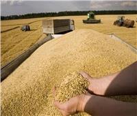 رومانيا تخطط لفتح موانئها أمام صادرات القمح الأوكراني