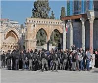 فلسطين تدين محاولات إسرائيل فرض التقسيم الزماني على الواقع القائم في المسجد الأقصى