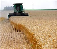 أوكرانيا تتهم روسيا بسرقة «مئات آلاف الأطنان» من الحبوب