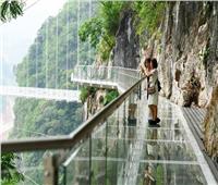 في الهواء.. جسر مشاة زجاجي معلق فوق الغابة بـ فيتنام