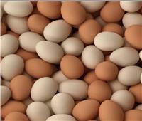 تعرف على أسعار البيض أول أيام عيد الفطر المبارك 