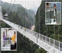 «التنين الأبيض» أطول جسر زجاجي في العالم يفتتح للسياح| شاهد