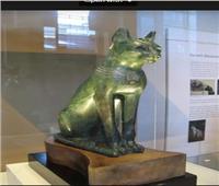 تعرف على «القطة» ودورها في المعتقدات المصرية القديمة
