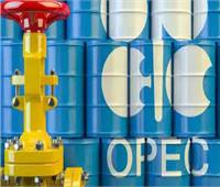 الجزائر تبحث مع «أوبك» أوضاع سوق النفط العالمية.. الخميس