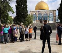 القوات الإسرائيلية تعتدي على فتاة جزائرية في المسجد الأقصى