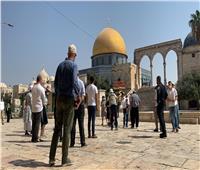 الأردن يدين اقتحام المستوطنين الإسرائيليين للقدس