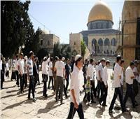 هيئة علماء فلسطين: اقتحام المسجد الأقصى استخفاف بمشاعر المسلمين