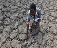 20 مليون شخص تهددهم المجاعة بسبب الجفاف في القرن الأفريقي| فيديو