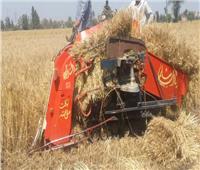 الزراعة: تخفيض قيمة أيجار معدات الميكنة الآلية لحصاد القمح 