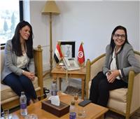 انعقاد الاجتماع التحضيري للجنة العليا المصرية التونسية المشتركة