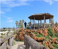 الإسكندرية ليست شواطئ فقط.. «عروس البحر» تتزين بحدائقها الساحرة