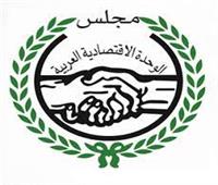 «العربي للتنمية» يحذر من الاستثمار في العملات الرقمية.. «ستواجه خسائر عاصفة»