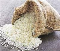 مصطفى النجاري:  الأرز المصري الأغلى في العالم| فيديو