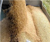 «الهند» تُربك العالم وتحظر صادرات القمح بشكل مفاجئ