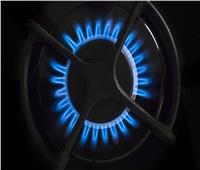 تقارير إعلامية: ارتفاع سعر الغاز 14% لشهر مايو في بلغاريا