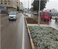 «الأرصاد»: فرص لسقوط أمطار خفيفة على القاهرة الكبرى .. اليوم