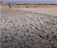 بسبب نقص المياه.. «العراق» يواجه أزمة في زراعة الأرز| فيديو