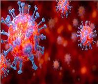      استمرار ارتفاع الإصابات والوفيات بفيروس كورونا في أنحاء العالم