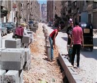 استمرار أعمال تجميل ورصف شوارع مدن محافظة الدقهلية