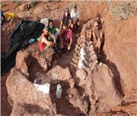 العثور على حفرية ديناصور يعود تاريخها إلى 125 مليون سنة في الصين