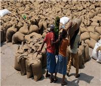 بعد قرار حظر التصدير..توقف شحنات من القمح بأحد موانئ الهند