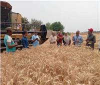  محافظ الشرقية يُتابع حصاد القمح بمدينة الصالحية الجديدة