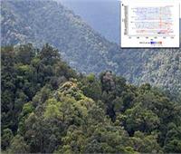 دراسة: تغير المناخ سبب زيادة معدلات موت الأشجار في غابات كوينزلاند