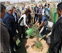 وزيرة الهجره تغرس نخلة بالوادي الجديد ضمن مبادرة زراعة 2.5 مليون نخلة