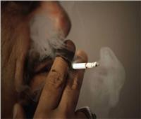 الصحة: ربع المصريين مستهلكين لـ«التبغ».. و18% من المدخنين طلبة إعدادي