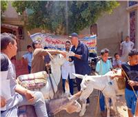 «الزراعة»: علاج 3161 رأس ماشية مجانا ضمن مبادرة «حياة كريمة» بسوهاج