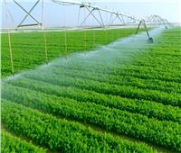 الزراعة: مشروع «مستقبل مصر» أعاد رسم السياسة الزراعية المصرية