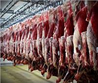 «الثروة الحيوانية»: نسبة الاكتفاء الذاتي من اللحوم تصل لـ52%| فيديو