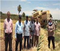 «الزراعة» تتابع منظومة الأسمدة وتفعيل الزراعة التعاقدية في محافظات الصعيد