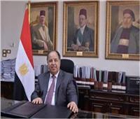 بالأرقام.. وزير المالية: الاقتصاد المصري بات أكثر تماسكًا في مواجهة التحديات العالمية