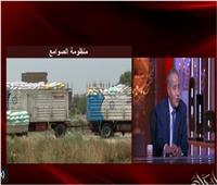 وزير التموين: ليس هناك أفضل من القمح المصري| فيديو