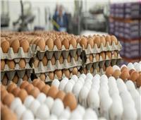 أسعار البيض بالأسواق الثلاثاء 24 مايو