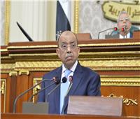 شعراوي يعرض جهود الحكومة في تطوير الأسواق الرسمية والعشوائية