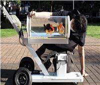 تايواني يخترع عربة متحركة لتنزيه الأسماك