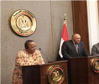 شكري: مصر تنسق مع أشقائها الأفارقة لتحقيق آمال القارة