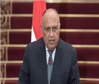 «شكري» عن سد النهضة: مصر تؤكد اهتمامها واستعدادها للتوصل لاتفاق قانوني ملزم 