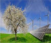 «الإقليمي للطاقة»: خطة شاملة لزيادة إنتاج الطاقة المتجددة والهيدروجين الأخضر