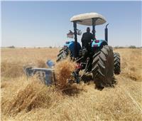 رئيس جامعة المنيا يتفقد حصاد ودرس القمح بمركز التجارب والبحوث الزراعية بشوشة
